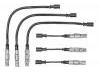 Zündkabel Ignition Wire Set:002576V002