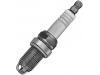 Spark Plug:101 000 041 AE