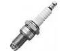 Spark Plug:101 000 036 AA