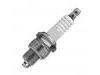 Spark Plug:460540