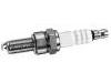 Spark Plug:60599495