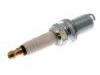 Spark Plug:NLP100290